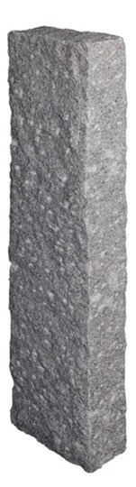 S1 - G603