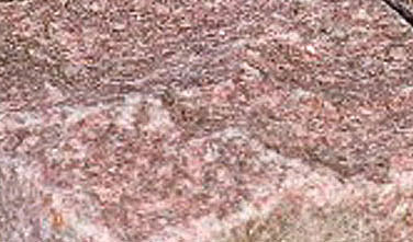 rot